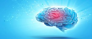 Neurocoaching virker det