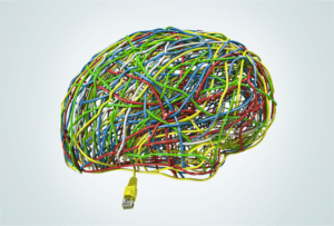 Videnskaben bag neurocoaching