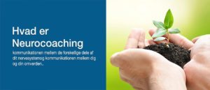 Hvad er neurocoaching