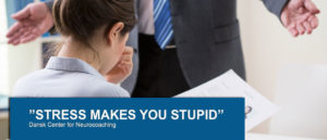 ”STRESS MAKES YOU STUPID”
